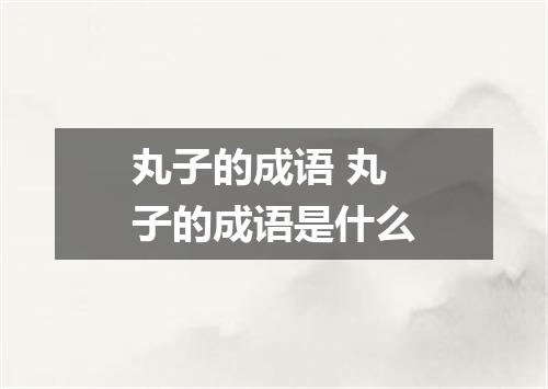 丸子的成语 丸子的成语是什么