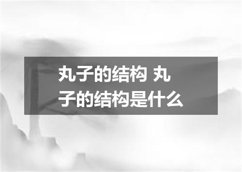 丸子的结构 丸子的结构是什么