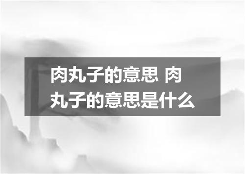 肉丸子的意思 肉丸子的意思是什么