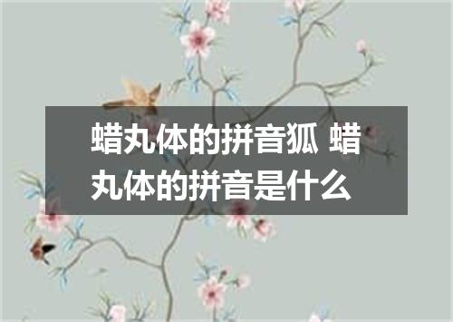 蜡丸体的拼音狐 蜡丸体的拼音是什么