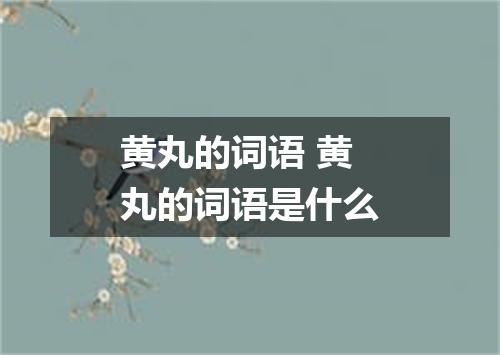 黄丸的词语 黄丸的词语是什么
