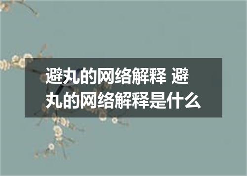 避丸的网络解释 避丸的网络解释是什么
