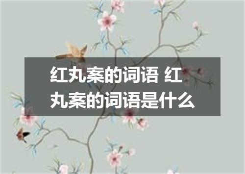 红丸案的词语 红丸案的词语是什么