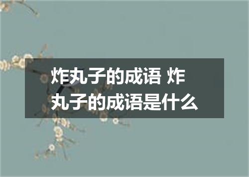 炸丸子的成语 炸丸子的成语是什么