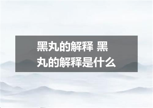 黑丸的解释 黑丸的解释是什么