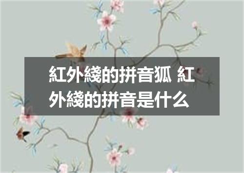 紅外綫的拼音狐 紅外綫的拼音是什么