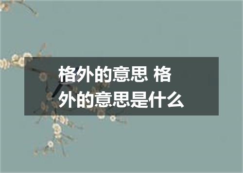 格外的意思 格外的意思是什么