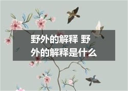 野外的解释 野外的解释是什么