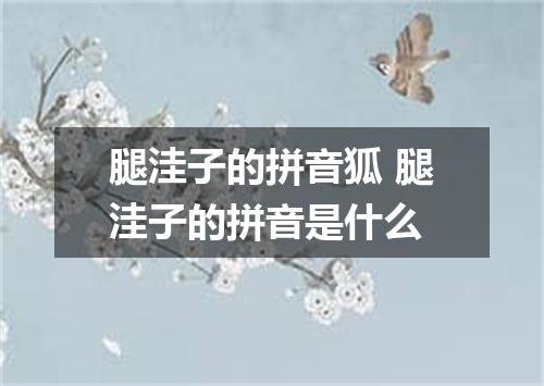 腿洼子的拼音狐 腿洼子的拼音是什么