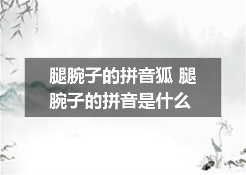 腿腕子的拼音狐 腿腕子的拼音是什么