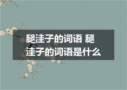 腿洼子的词语 腿洼子的词语是什么