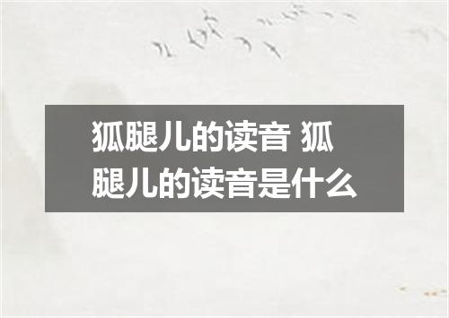 狐腿儿的读音 狐腿儿的读音是什么