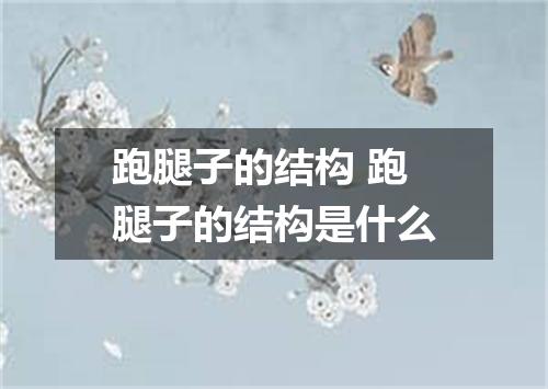 跑腿子的结构 跑腿子的结构是什么