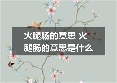 火腿肠的意思 火腿肠的意思是什么
