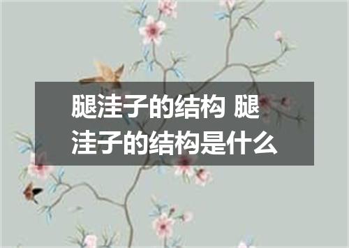 腿洼子的结构 腿洼子的结构是什么