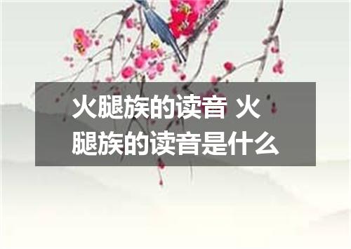 火腿族的读音 火腿族的读音是什么