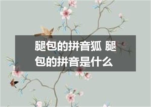 腿包的拼音狐 腿包的拼音是什么