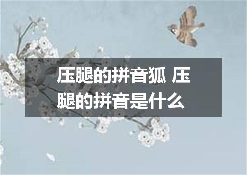 压腿的拼音狐 压腿的拼音是什么