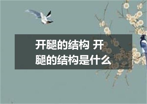 开腿的结构 开腿的结构是什么