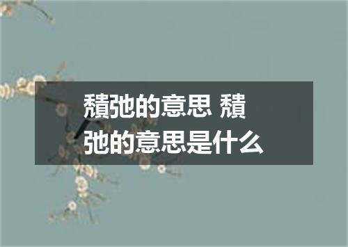 穨弛的意思 穨弛的意思是什么