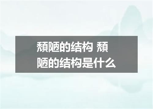 頽陋的结构 頽陋的结构是什么