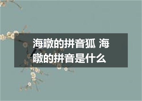 海暾的拼音狐 海暾的拼音是什么