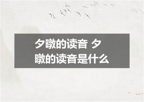 夕暾的读音 夕暾的读音是什么