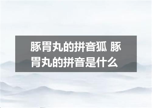 豚胃丸的拼音狐 豚胃丸的拼音是什么