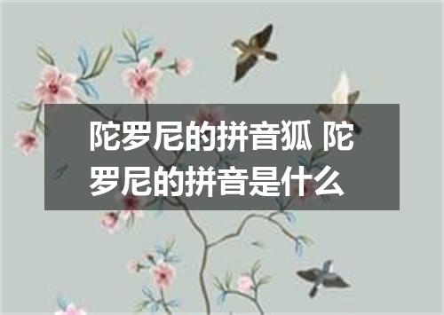 陀罗尼的拼音狐 陀罗尼的拼音是什么