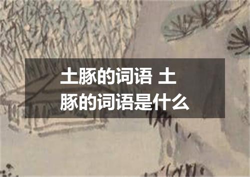 土豚的词语 土豚的词语是什么