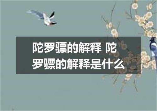陀罗骠的解释 陀罗骠的解释是什么