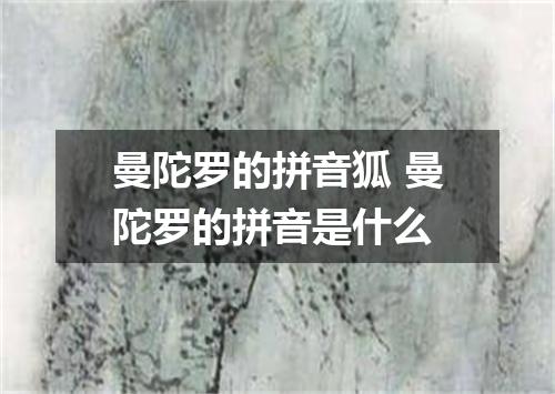 曼陀罗的拼音狐 曼陀罗的拼音是什么