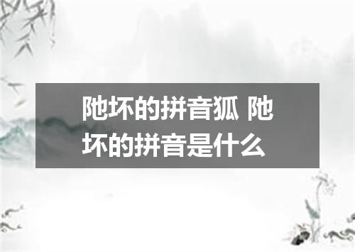 阤坏的拼音狐 阤坏的拼音是什么