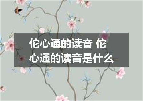 佗心通的读音 佗心通的读音是什么