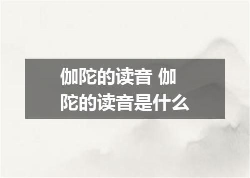 伽陀的读音 伽陀的读音是什么