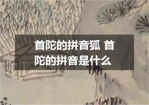 首陀的拼音狐 首陀的拼音是什么