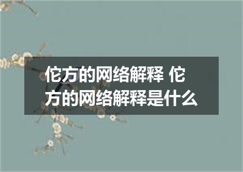 佗方的网络解释 佗方的网络解释是什么