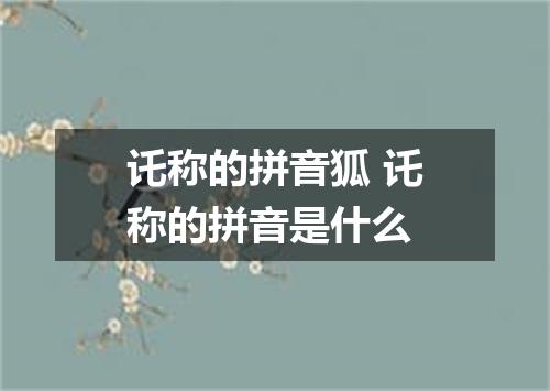 讬称的拼音狐 讬称的拼音是什么