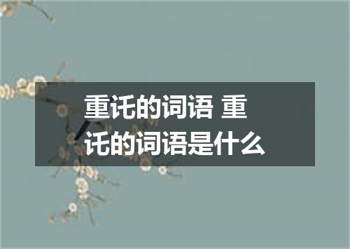 重讬的词语 重讬的词语是什么
