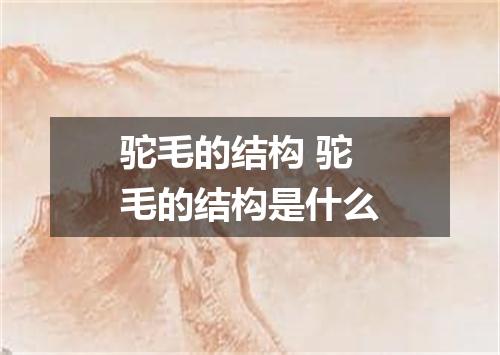 驼毛的结构 驼毛的结构是什么