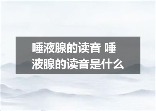 唾液腺的读音 唾液腺的读音是什么