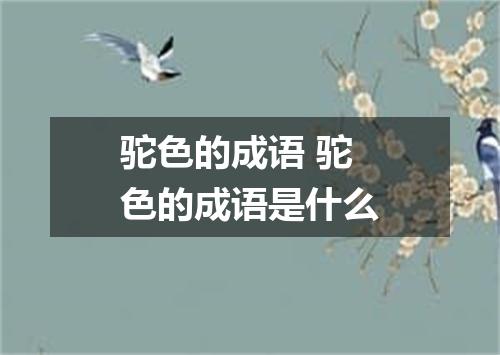驼色的成语 驼色的成语是什么
