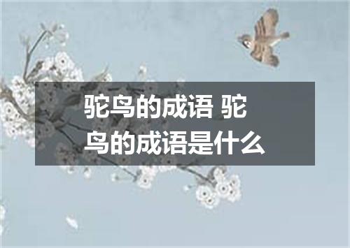 驼鸟的成语 驼鸟的成语是什么