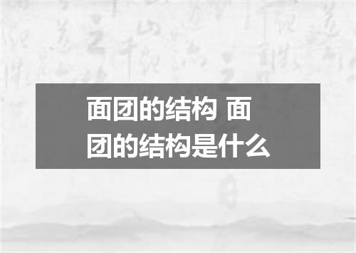 面团的结构 面团的结构是什么