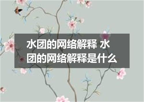 水团的网络解释 水团的网络解释是什么