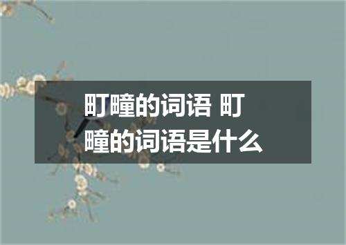 町疃的词语 町疃的词语是什么