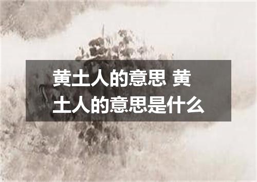 黄土人的意思 黄土人的意思是什么