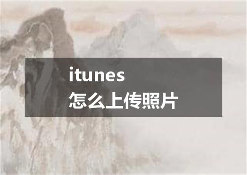 itunes怎么上传照片