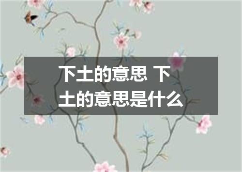 下土的意思 下土的意思是什么