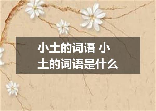 小土的词语 小土的词语是什么